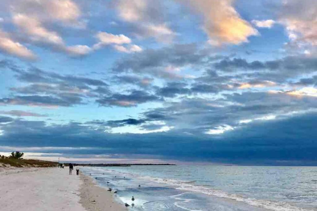 St Pete Vacation Rentals سانت بطرسبرج المظهر الخارجي الصورة